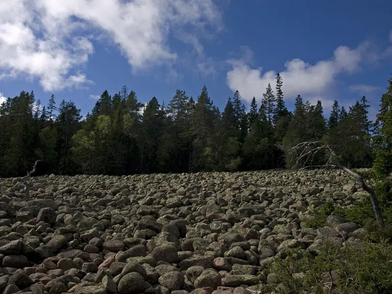 Skuleskogen nasjonalpark ved Höga Kusten