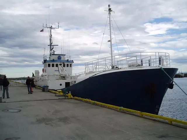 Walvissafari vanuit Andenes