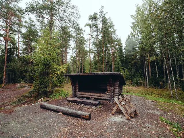 En gapahuk med bålplass i en finsk nasjonalpark