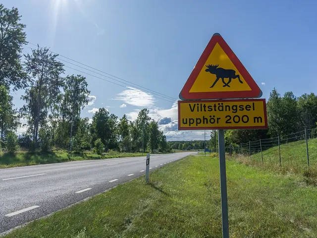Et elgfareskilt i Sverige