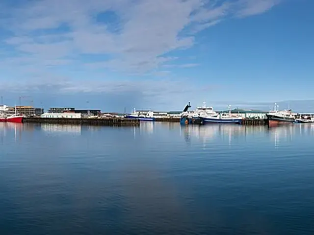 Havna i Reykjavík
