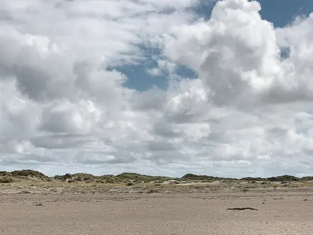 Sanddynene på Rømø