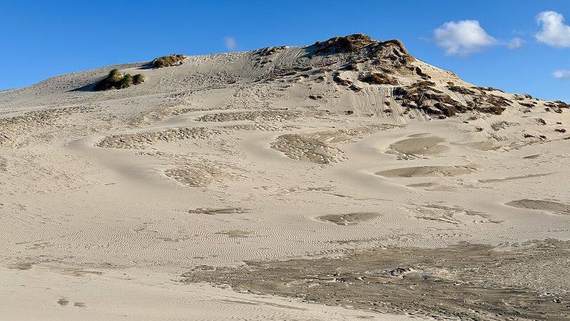 De wandelende duin Råbjerg Mile