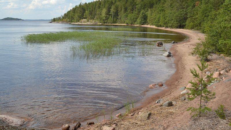 Saimaa-sjøen om sommeren