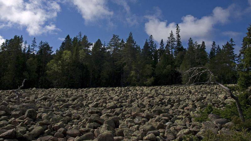 Skuleskogen nasjonalpark ved Höga Kusten