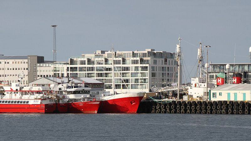 Hvalsafaribåter i den gamle havna i Reykjavík