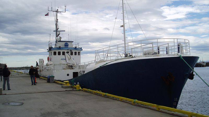 Hvalsafari fra Andenes