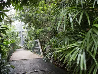 Korkeasaari Zoo in Helsinki