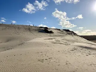 Råbjerg Mile