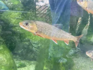 Universeum in Göteborg