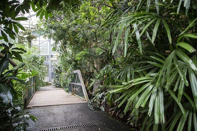 Dierentuin Korkeasaari